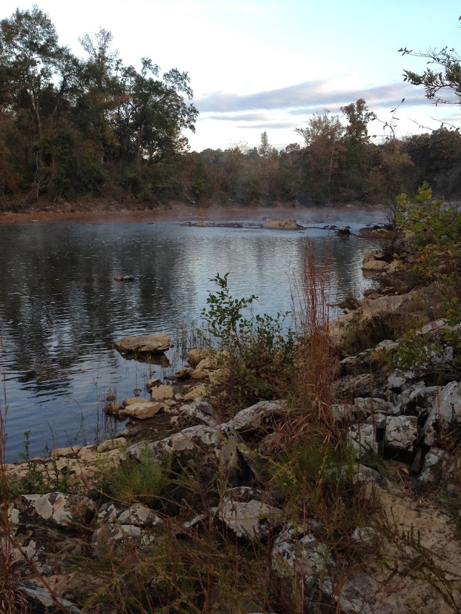 Legacy Trails Cabins